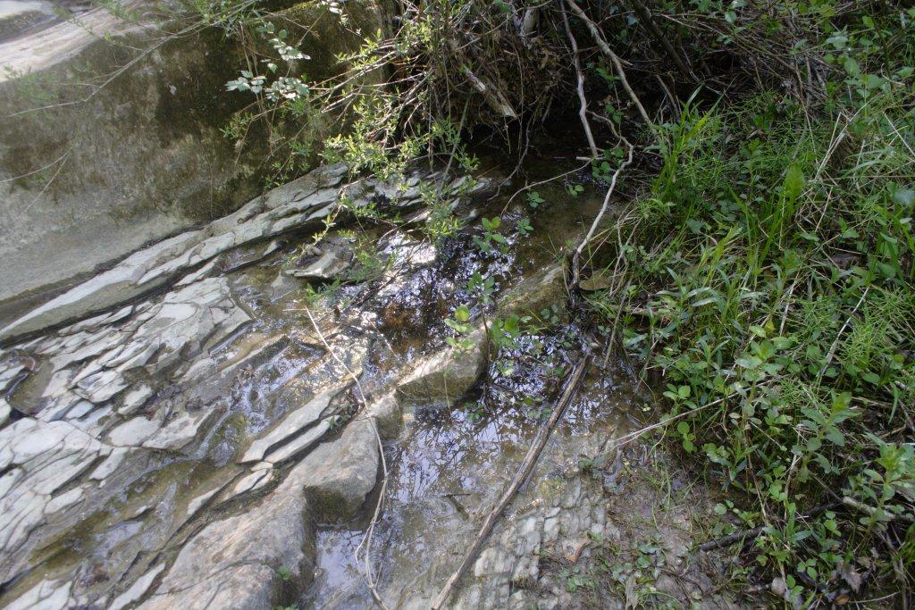 Nuovo sito di Ululone: ricco ed affollato!